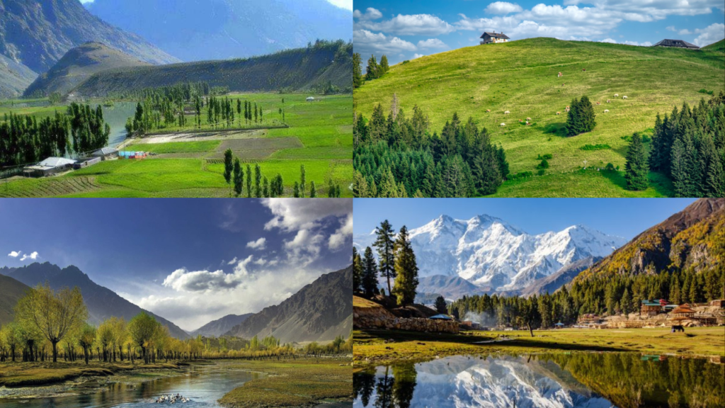 Conservation Efforts: Protecting Biodiversity  of gilgit baltistan